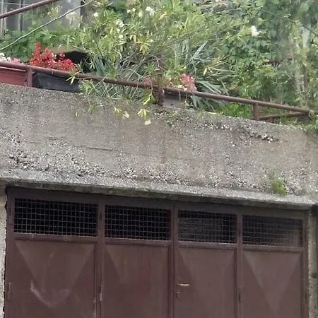 Vision Saraybosna